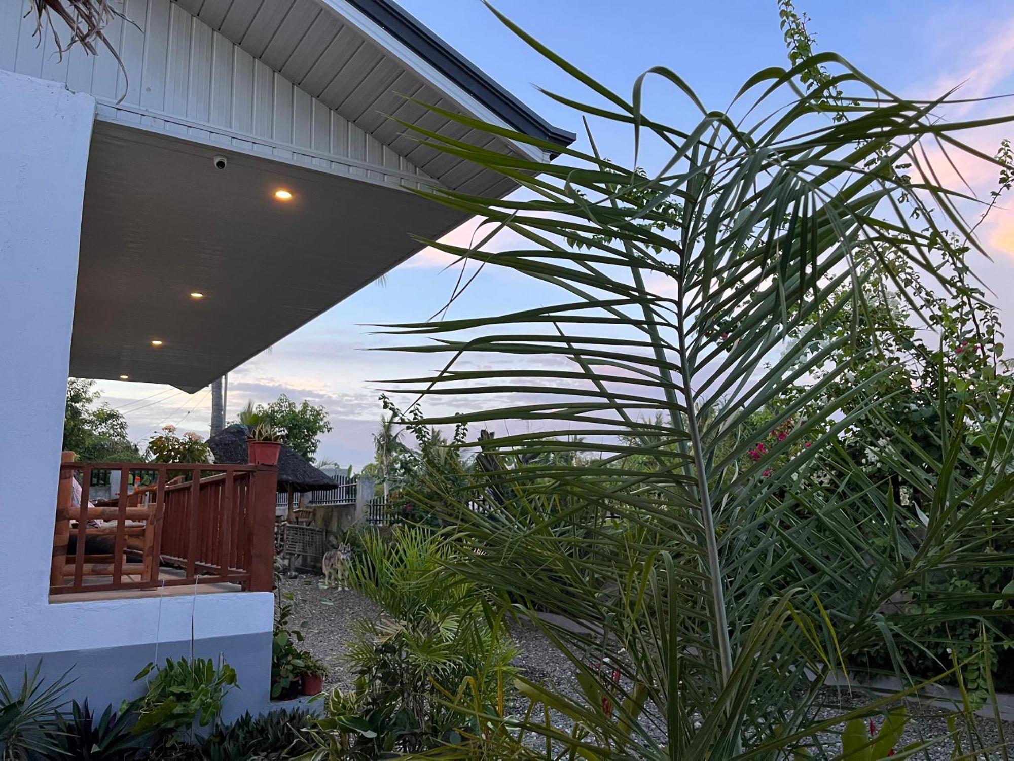Momo Hostel 몰볼 외부 사진
